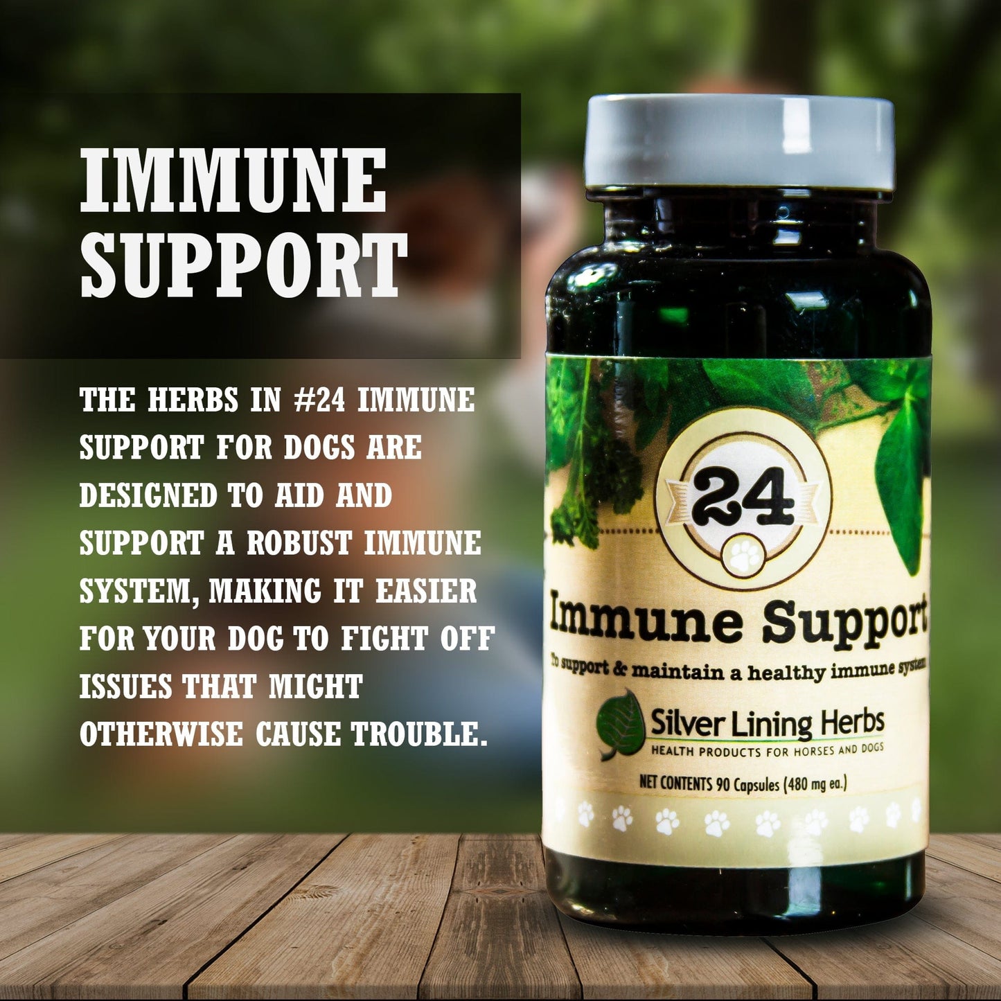 Immune Support by Silver Linings Herbs