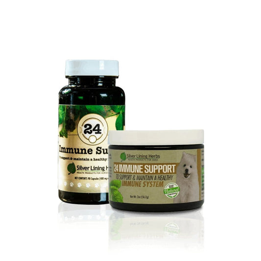 Immune Support by Silver Linings Herbs