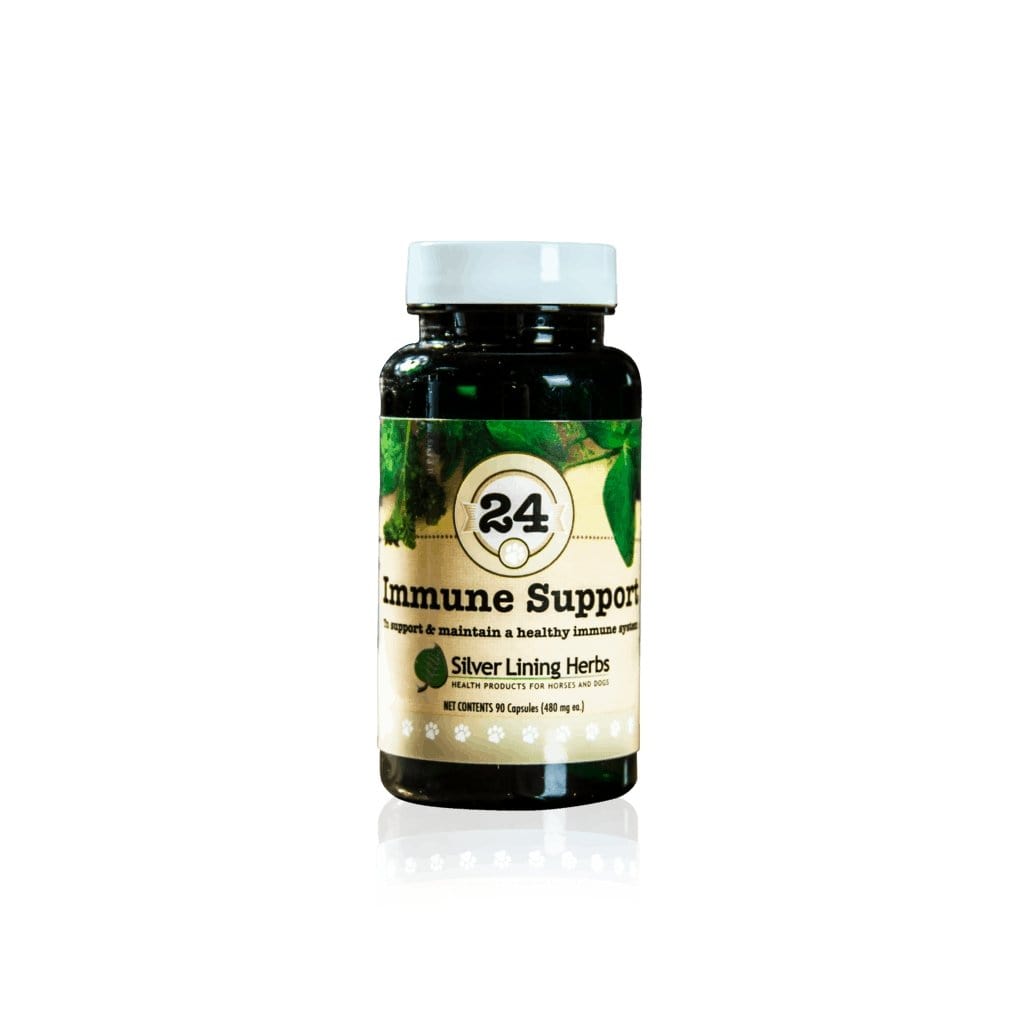Immune Support by Silver Linings Herbs