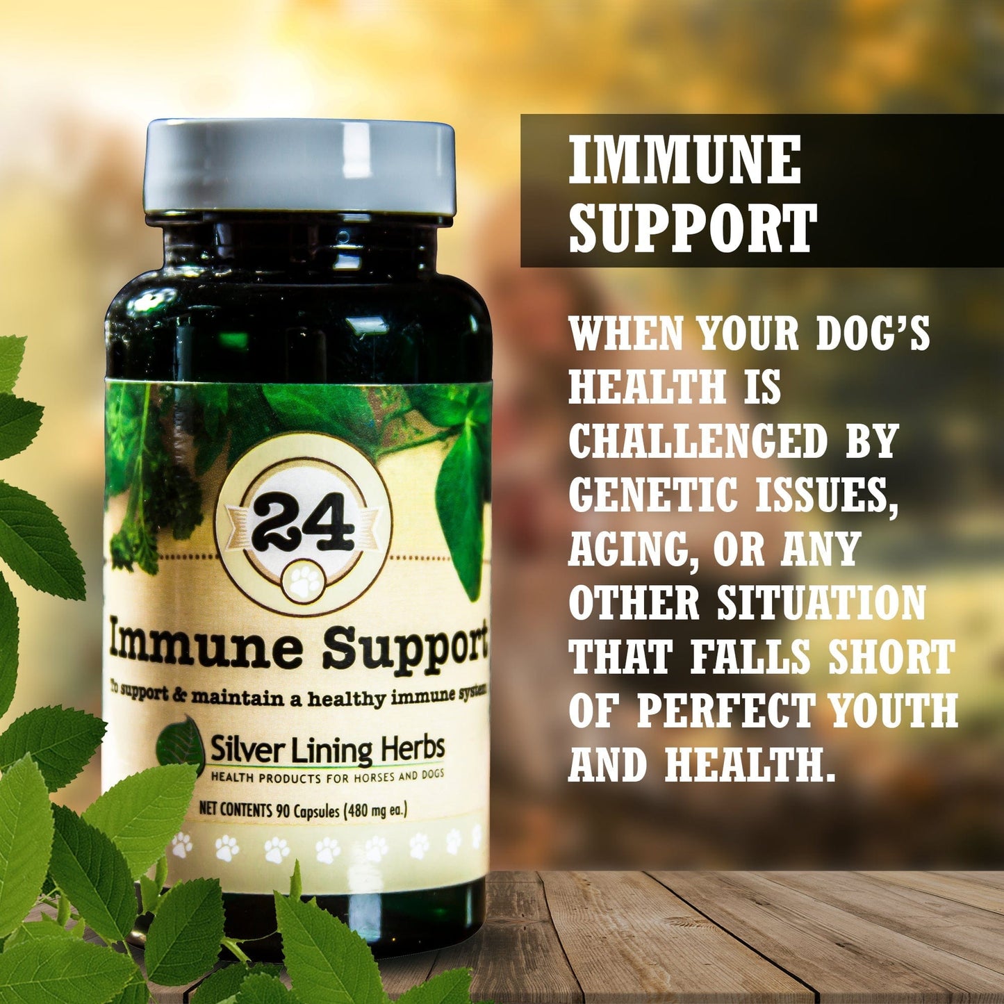Immune Support by Silver Linings Herbs