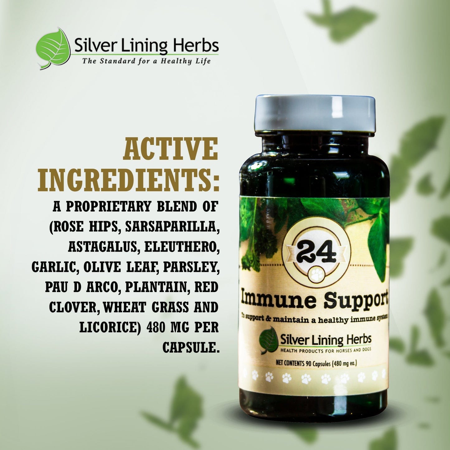 Immune Support by Silver Linings Herbs