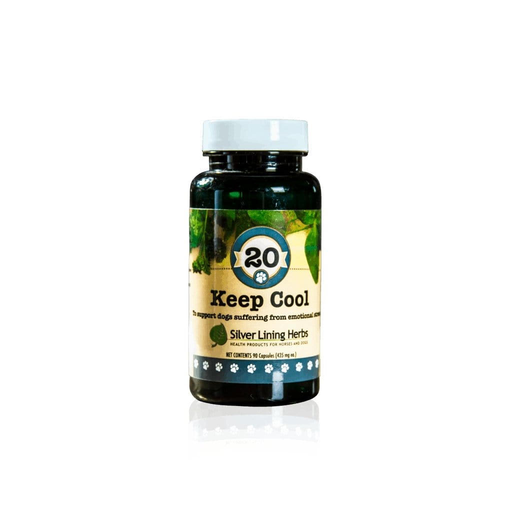 Keep Cool Calming Blend by Silver Linings Herbs