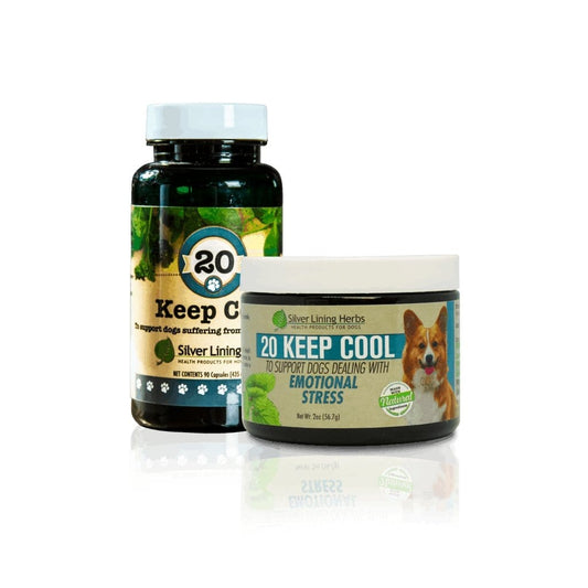 Keep Cool Calming Blend by Silver Linings Herbs