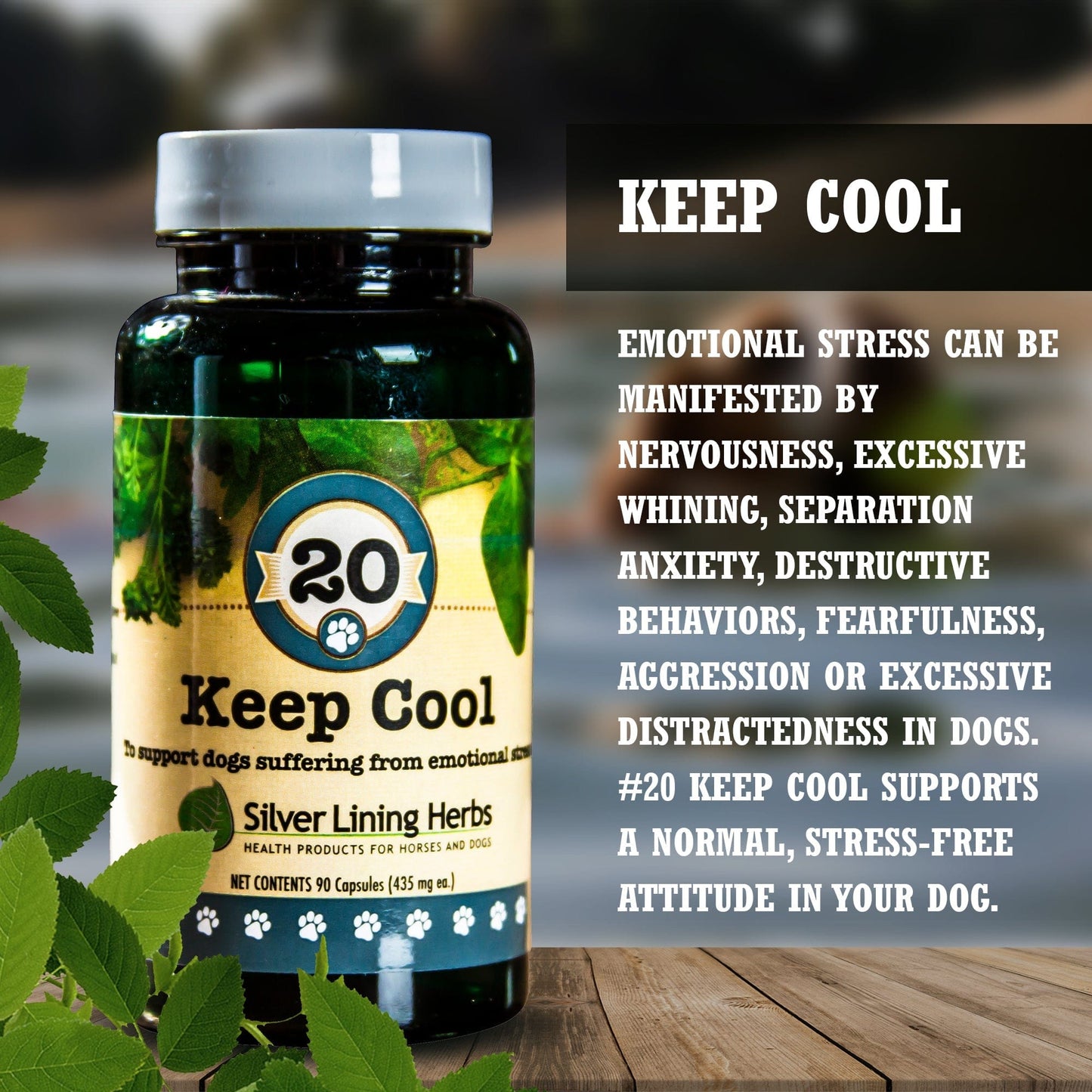 Keep Cool Calming Blend by Silver Linings Herbs