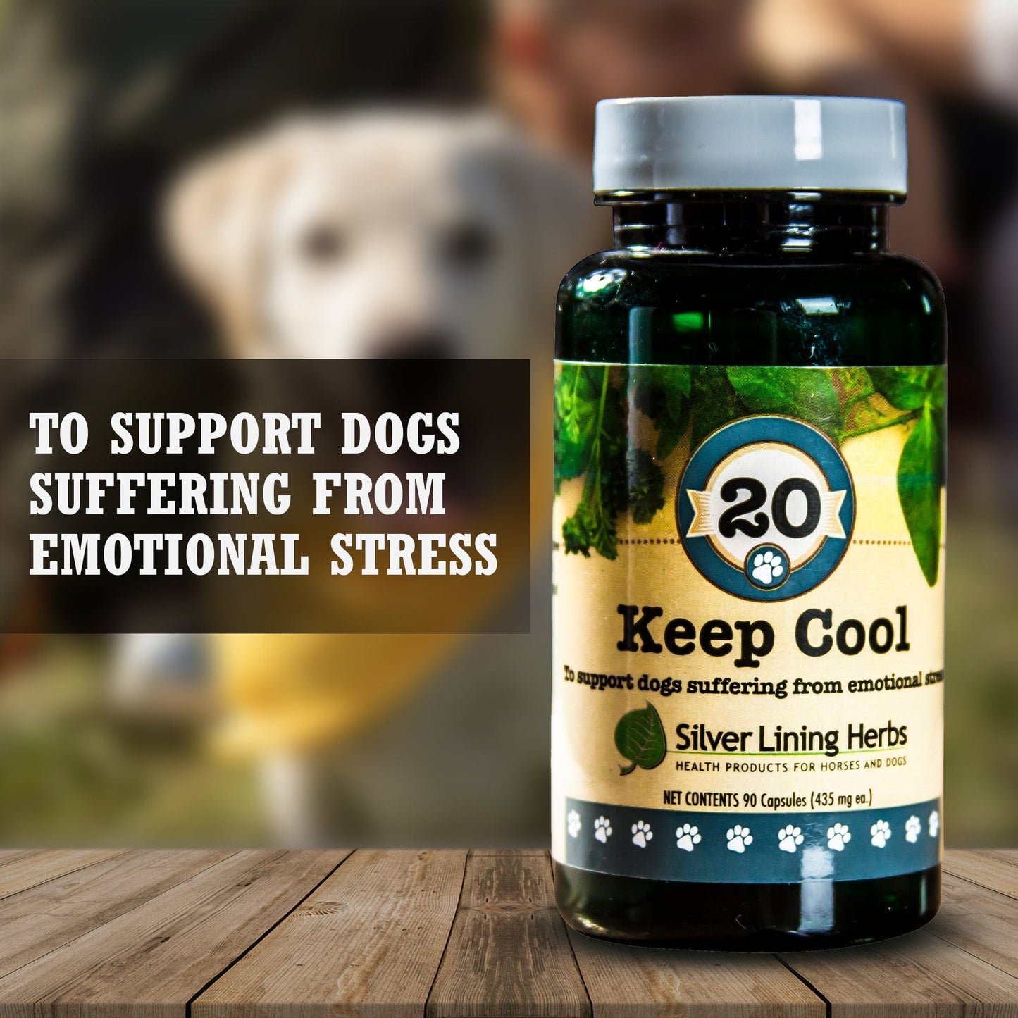 Keep Cool Calming Blend by Silver Linings Herbs