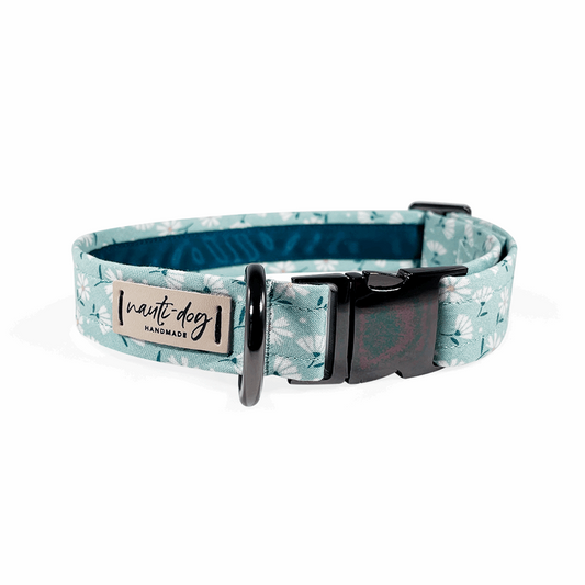 Paperwhite Sea Glass Green Daisy Floral Buckle & Martingale Dog Collar with black gun metal hardware