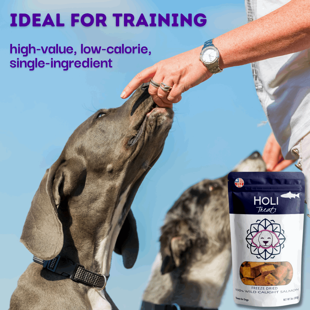 Two dogs training with Wild Caught Salmon Dog Treats by HOLI