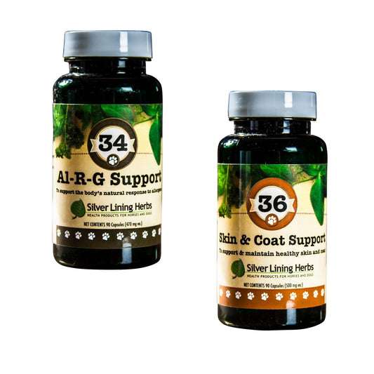 Seasonal Allergy Discomfort Bundle by Silver Linings Herbs