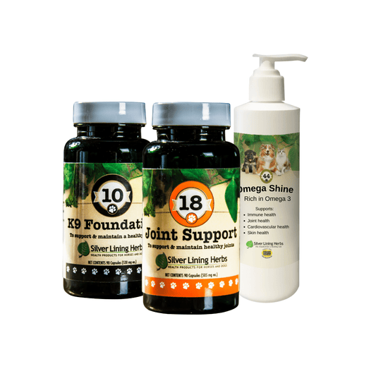 Senior Canine Bundle by Silver Linings Herbs