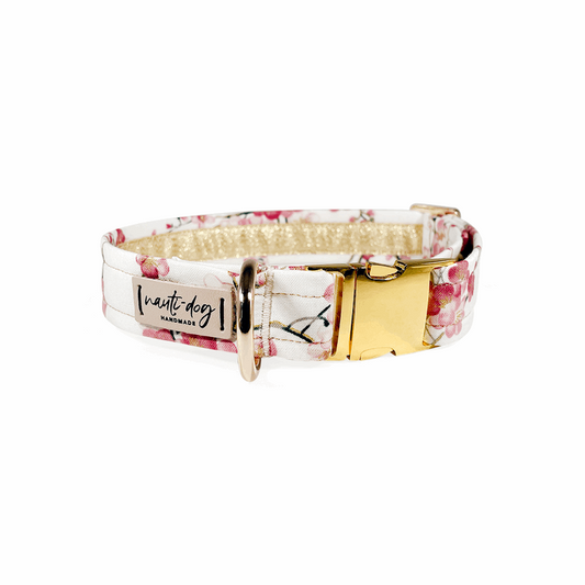 Sakura Japanese Cherry Blossom Floral Buckle & Martingale Dog Collar with gold hardware