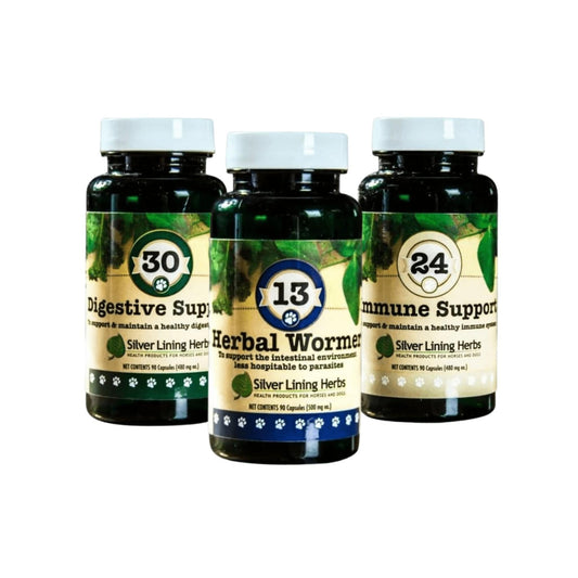 Ultimate Deworming Bundle by Silver Linings Herbs