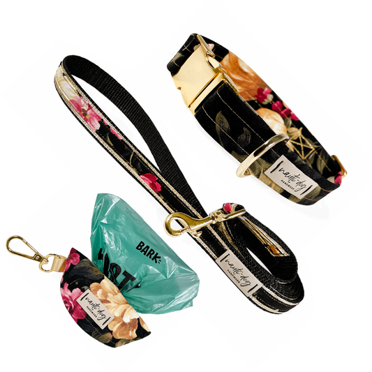 Victoria Vintage Victorian Floral Collar, Leash & Wastebag Dispenser Walking Set with Polished Gold Hardware